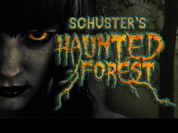 Schuster's Haunted Forest