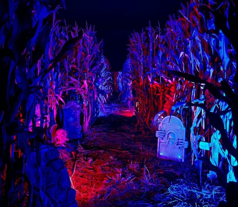 haunted maze