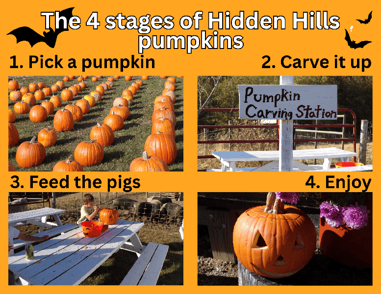Pumpkin Carving