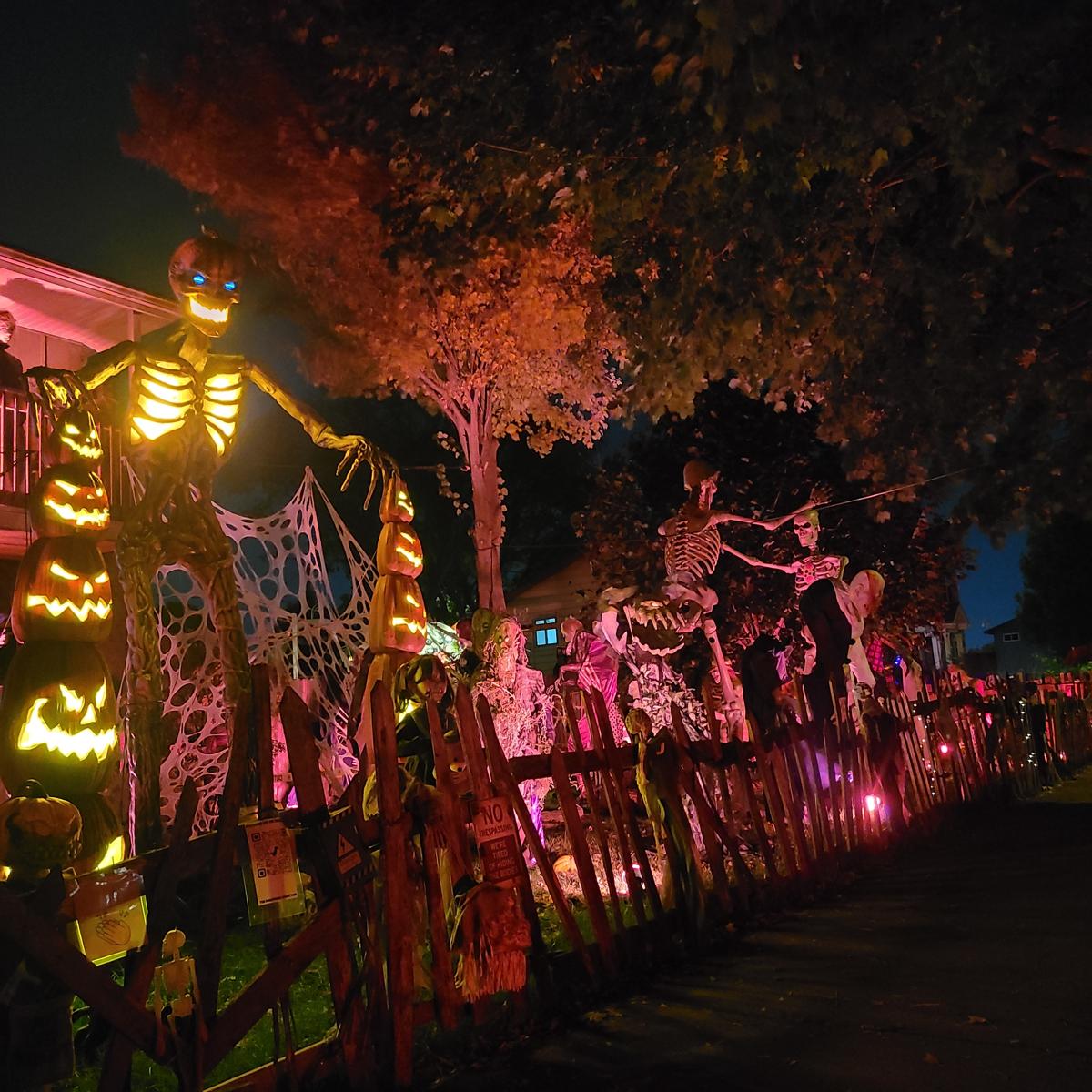 Skeleton Yard