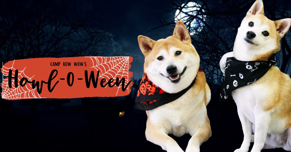 Camp Bow Wow Howl-O-Ween