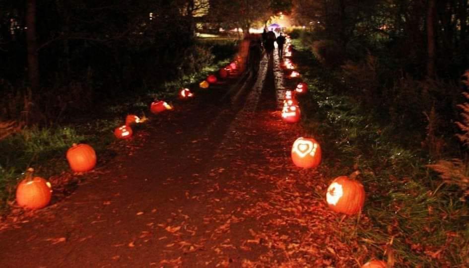 Kicking Cancer for Connie Halloween Luminary Walk