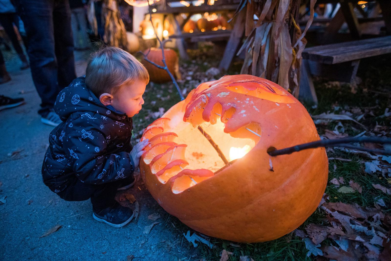 Great Pumpkin Festival pumpkin