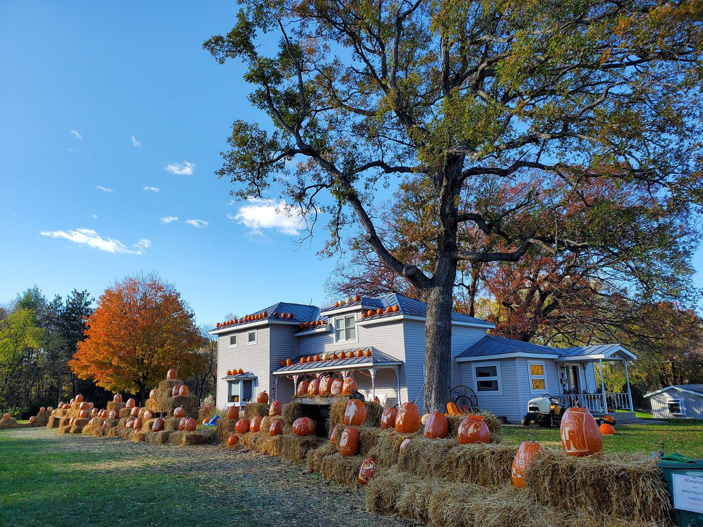 Pumpkin Time at the Millers Daytime